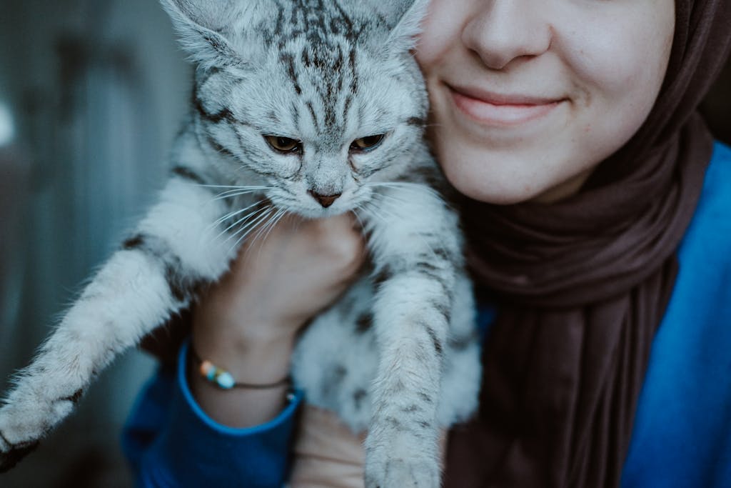 Une femme tient joyeusement son chat British Shorthair à l’intérieur.